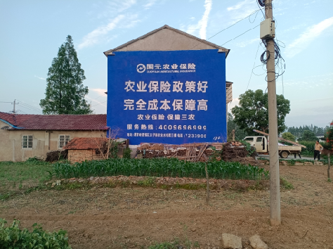 太和墙体广告为何受追捧？